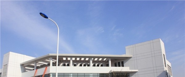 合肥科技职业学院2019年单招录取分数线