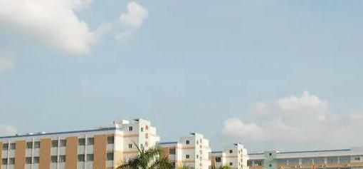 广州南武中学CCAE实验班2023年课程体系