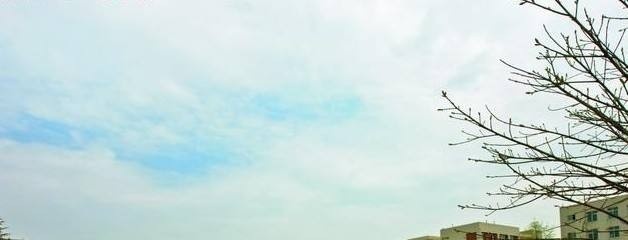 沧州财税中专学校有哪些专业