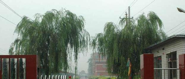 唐河县中等职业学校