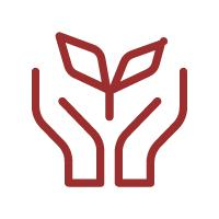 深层护理