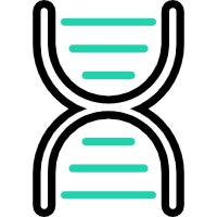 野外拉练