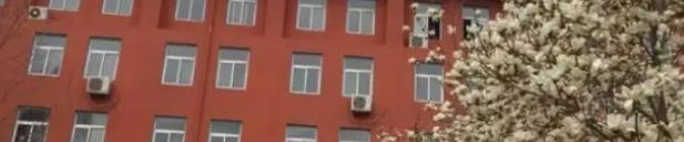 北京新府学外国语学校