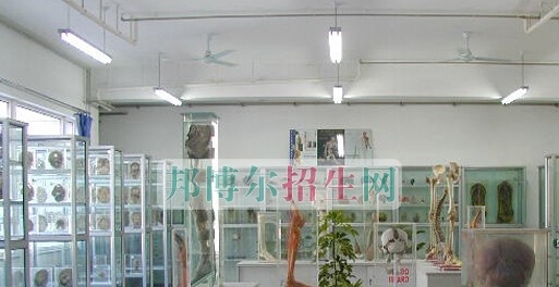 山东省青岛卫生学校