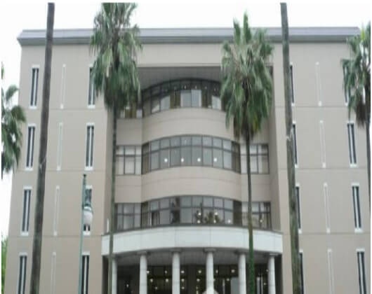 鹿儿岛大学
