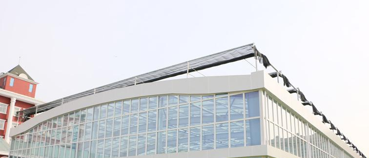 北京爱迪国际学校小学部2023年招生简章