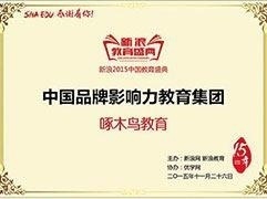 中国品牌影响力教育集团