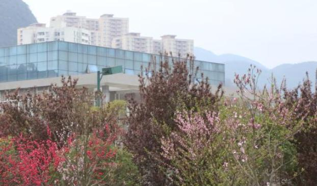 六盘水职业技术学院