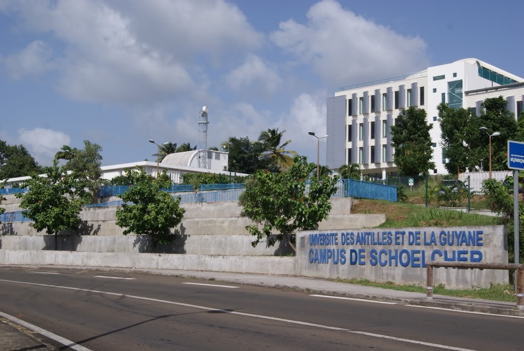 安第列斯－圭亚那大学