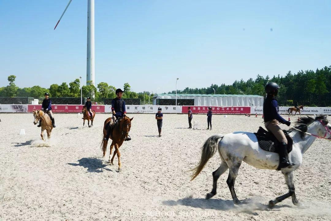 马术课.jpg
