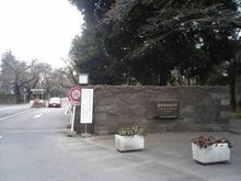 国际基督教大学