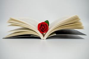 长江大学在职研究生入学考试高吗