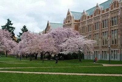 美国科技巨头最爱招聘哪些大学的毕业生?藤校无一进前十