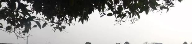 蒲城兴华学校