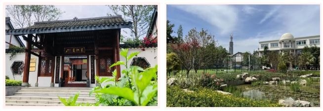 美中国际爱智学校