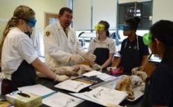 奥哈拉主教高中