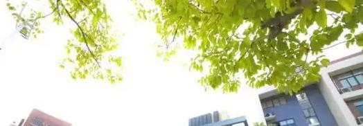 广东碧桂园(IB国际)学校初中部2023年入学考试2