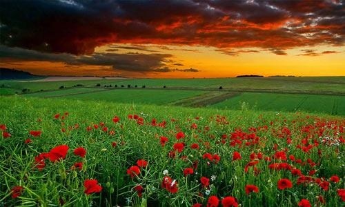 怎么才能让自己口才变好