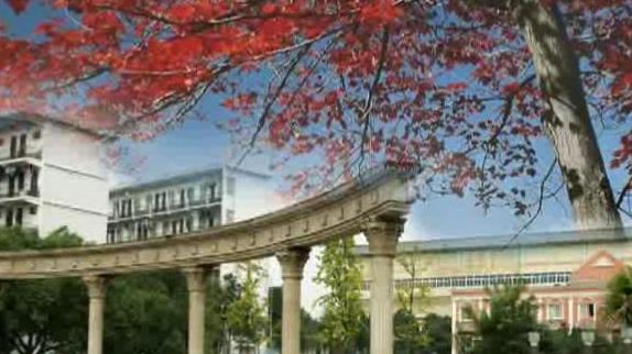 截图20200325095123