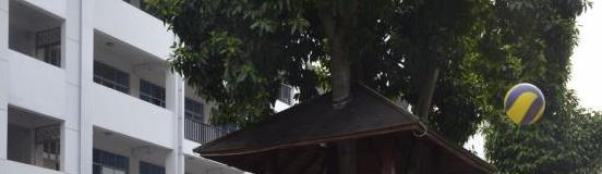 广西右江民族商业学校2020年招生简章 