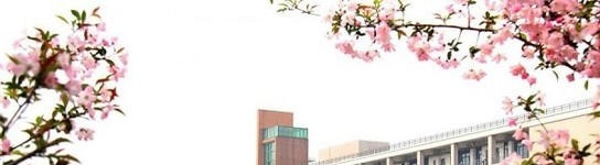 江苏商贸职业学院单招2020年单独招生录取分数线