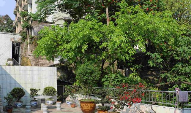 重庆医药经贸学校