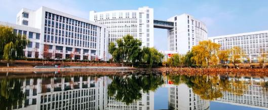 合肥科技职业学院2020年招生办