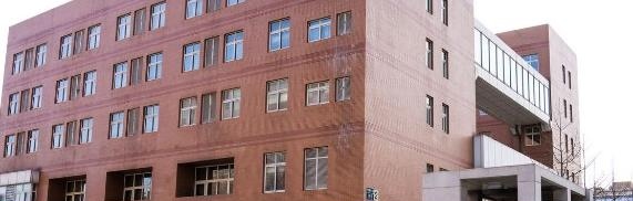 北京第八中学怡海分校(国际部)小学部2023年招生计划