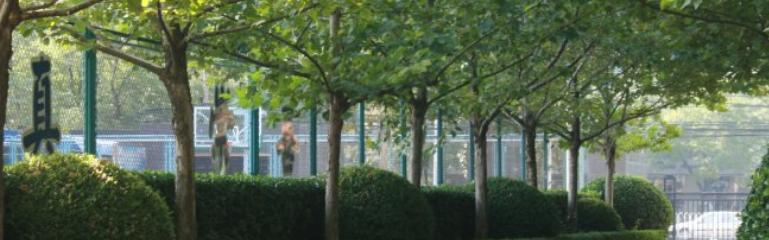 北京师范大学第二附属中学国际部