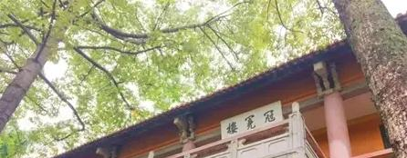 廣雅中學(xué)博雅國際班2023年學(xué)費(fèi)標(biāo)準(zhǔn)