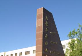乌鲁木齐职业大学单招成绩查询时间