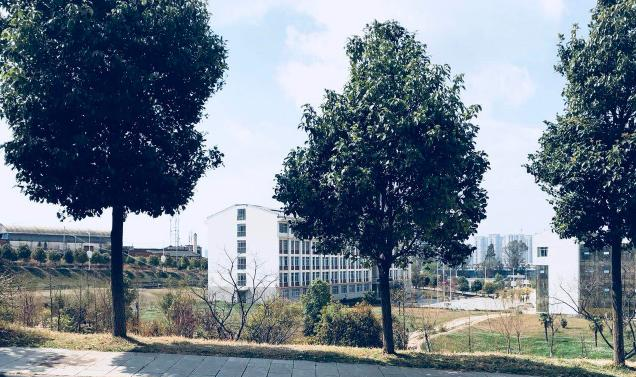 江川县职业高级中学