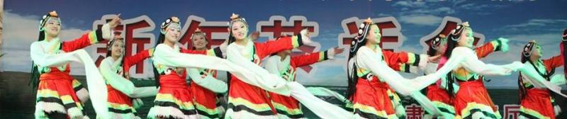 甘肃水利水电学校