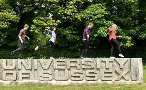 萨塞克斯大学