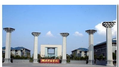 2022 湖北中医药大学全国排名（湖北中医药大学历年全国排名）-2023年参考