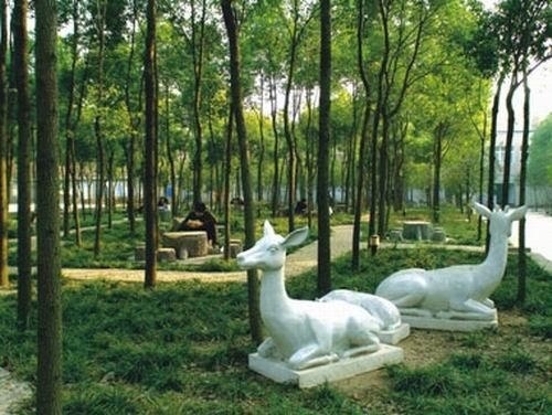 华中科技大学校园一览