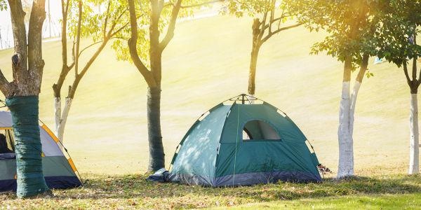 北京夏令营培训机构哪个好
