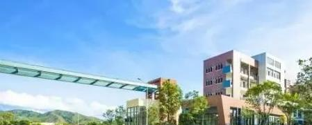 深圳蛇口国际学校小学部怎么样