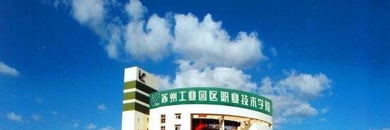 苏州工业园区职业技术学院2019年单招录取分数线