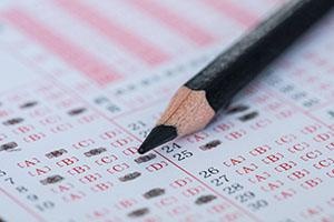 北京市私立汇佳学校课程