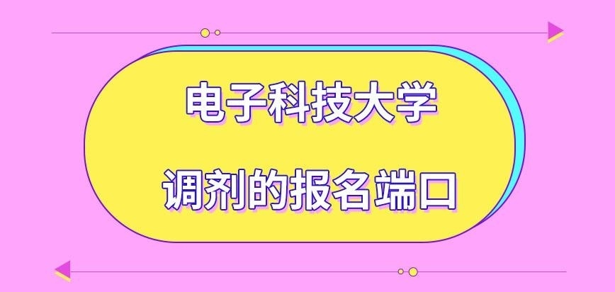 电子科技大学在职研究生所调剂在哪报名呢