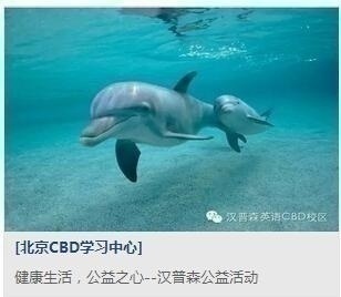 上海汉普森英语学校