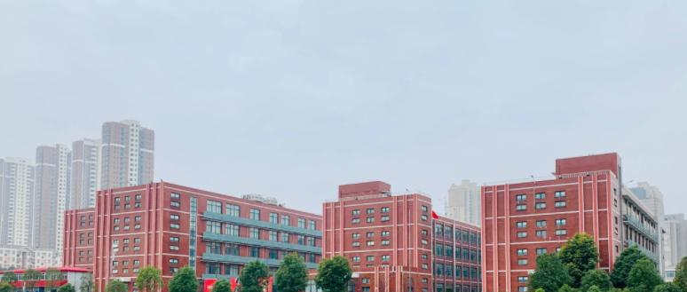 武汉为明国际学校小学部