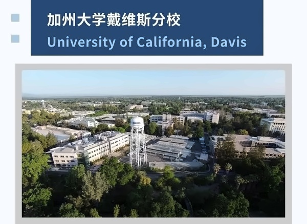 北京波士顿卫星学校-诺维学院录取数据