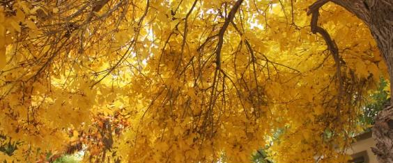 甘肃畜牧工程职业技术学院是几专