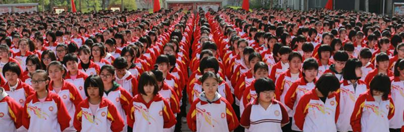 河北阜城中学2023年招生计划