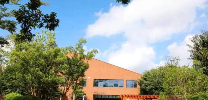深圳深美国际学校2023年课程体系