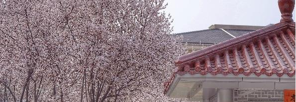 江苏前黄高级中学怎么样、好不好