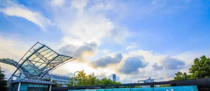 中国石油大学是985还是211