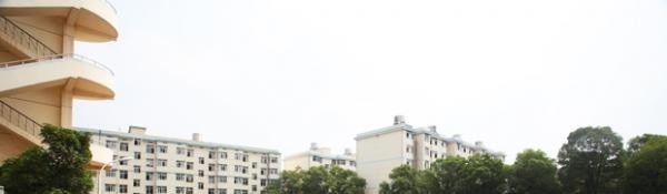 湖南科技职业学院2019年单招录取分数线